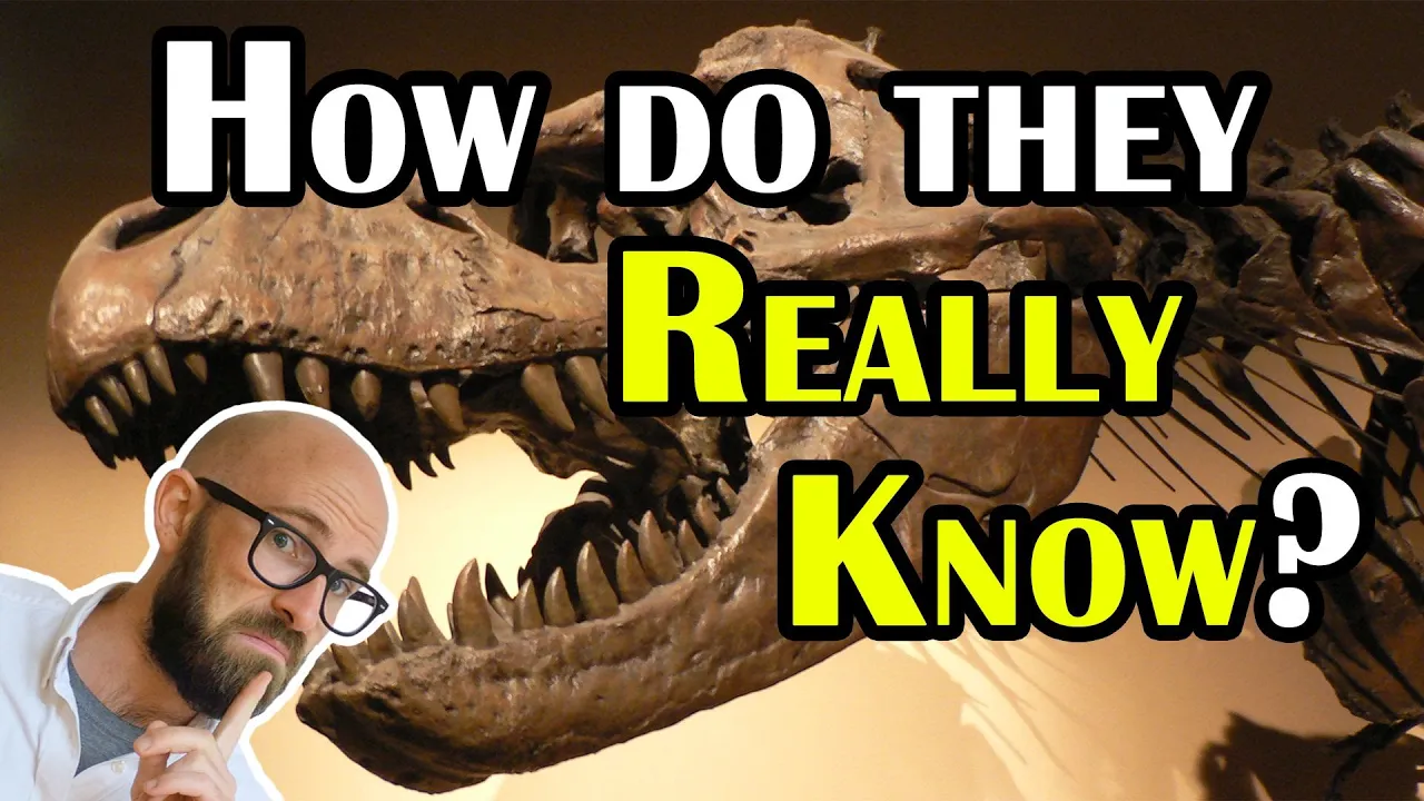 How Do We Know How Old Things Like Dinosaur Bones Are?