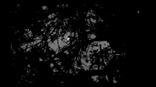 freaks but make it extra nostalgic slowed reverb