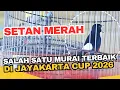 Lagu SALAH SATU MURAI TERBAIK DI JAYAKARTA CUP 2026 !! MB SETAN MERAH - Mr Cillo Alona BF