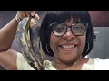 Download Lagu Sweet Adjeley is live! Lets make plantain pancakes for a late lunch
