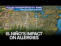 Wisconsin El Nino winters allergy season impact FOX6 News Milwaukee