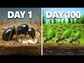 Download Lagu Simulating an Ant Colony For 100 Days