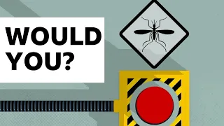 What if we wiped out all the mosquitoes in the world?