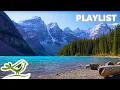 Download Lagu 1 Hour of Peaceful Instrumental Music 🌳 Birds, Piano \u0026 Guitar for Relaxation, Focus, Study or Work