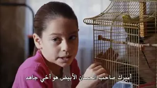 وادي الذئاب الجزء التاسع الحلقة 12 مترجمة للعربية 