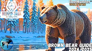 Medved Taiga Brown Bear Guide TheHunter Call of The Wild