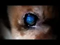 Download Lagu Sad 1 Paganini (1 hora para estudiar)