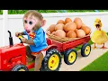 Download Lagu Monyet Bon Bon Imut menemukan ruangan rahasia penuh permen pelangi dan popcorn pelangi