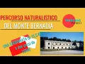 Download Lagu Anello del monte Bernadia- Friuli Venezia Giulia- Sentieri Percorsi in Montagna