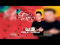 Wesley Safadão - Romance Com Safadeza | Download