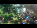 𝘊𝘰𝘳𝘣𝘰𝘯 𝘈𝘮𝘰𝘥𝘪𝘰 - 𝘭𝘶𝘤𝘺~ (𝘴𝘱𝘦𝘥 𝘶𝘱)♪