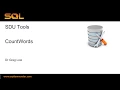 SDU Tools 59 CountWords in a SQL Server T-SQL string