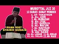 Download Lagu Murottal Juz 30 || 13 Surat- Surat Pendek Dengan Irama Yang Sangat Merdu, Rost Syaikh Sudais