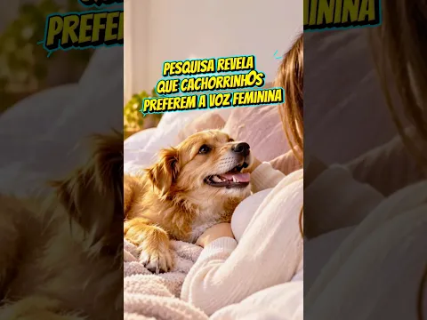 Cães preferem a voz feminina #humor #cachorro #dognews