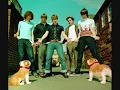 EVERYTHING IS AVERAGE NOWADAYS (kaiser chiefs karaoke)