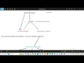Programming Basics - Batch14 Session-4 2026