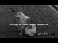 noah - separuh aku (lirik)