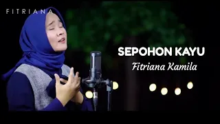 Download SEPOHON KAYU - cover FITRIANA KAMILA (LIRIK) MP3