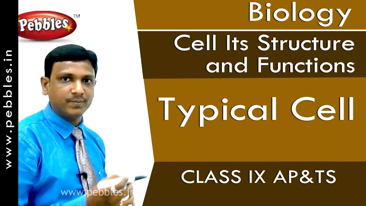 Typical Cell : Cell Its Structure and Functions | Biology | Class 9