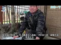 【粵語·廣東話】紅蟲一斤賣到200蚊？臭水溝紅色軟黃金暴利真相