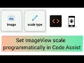 Setting ImageView scale Programmatically in Code Assist DidDog