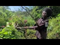 Download Lagu PEANUT DREAD...THORNS AND THISTLE IN OUR WAY/ PLUS A  PHONE CALL WITH BIG STONE!! 😅😅😅