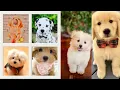 Puppy Pfp - Cute and Preppy Dog Pictures Logos for TikTok