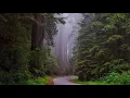 all emotions - Daniel Gunnarsson [R101]