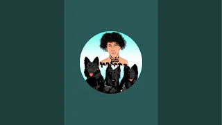 The Dog Daddy online training course!! Ask me questions