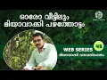 Download Lagu ഓരോ വീട്ടിലും മിയാവാക്കി പഴത്തോട്ടം | Miyawaki Fruit Forest in every house | Web Series #45