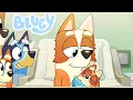 El Nacimiento Del Hijo de Brandy Bluey Nuevo Episodio