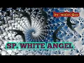 Lagu SUARA PANGGIL WALET SP. WHITE ANGEL  ( SUARA PANGGIL WALET TERBAIK 2020 )