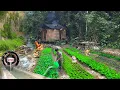 Download Lagu Bouw huizen,visvijvers, tuinen, waterkrachtcentrales, bouw leven dat honderden jaren meegaat het bos