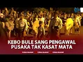 Download Lagu 🔴LIVE: Kirab Malam 1 Suro di Keraton Solo, Sang Pengawal Pusaka Tak Kasat Mata
