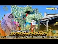 Download Lagu BRONDONG - VOC. OTING SAPUTRI || SHOW DESA BONGAS MARGAMULYA BLOK GEBANG MAMPANG - INDRAMAYU