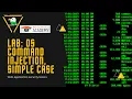 Port Swigger Lab OS command injection simple case