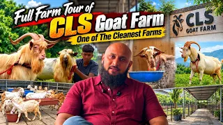 CLS Goat Farm, Manor ~ Full Tour | Clean Palai Farm, Successful Breeding Setup