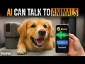 Talking to Animals Is Real Now AI Just Decoded Their Emotions