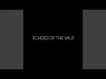Download Lagu ECHOES OF THE WILD