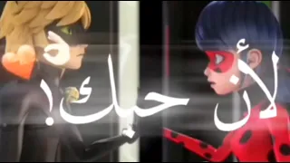 حالات حب بين الدعسوقه والقط الاسود تصميمي الاغنيه عشقتك عشق مجنون 