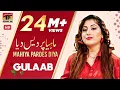 Lagu Gulaab | Mahiya Pardes Diya | Pakistani Punjabi Song | TP Gold
