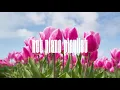 NCT PLAYLIST | 폭닥폭닥 엔시티 피아노 커버곡 모음 🎹🌷