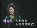 王菲－千言萬語 (Live)