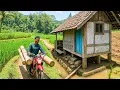 Download Lagu SURGANYA PLANET BUMI‼️KAMPUNGNYA INDAH BANGET, KEINDAHANNYA NYATA BUKAN DONGENG