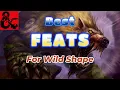 Wild Shape Feats for your Druid D D 5e Optimization