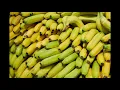 Little Big Go Bananas