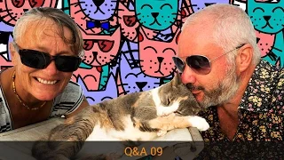 Sailing with cats & dogs | What you must know! Sailing Q&A 9