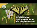 Lagu SEVEN Native Spring Ephemeral Plants For Early Pollinators​