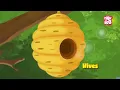 What if a Bee Stings You? | How To Treat A Bee Sting? | Honey Bee Attack | The Dr. Binocs Show