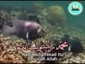 Sifat 20 Allah